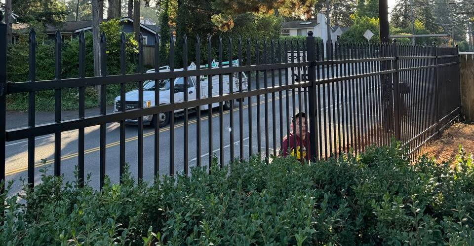 project-details-image